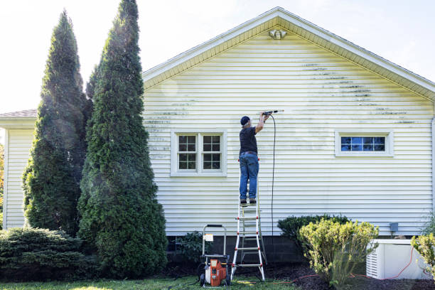 Best Deck Cleaning Services  in Centralia, MO