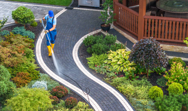 Best Roof Pressure Washing  in Centralia, MO